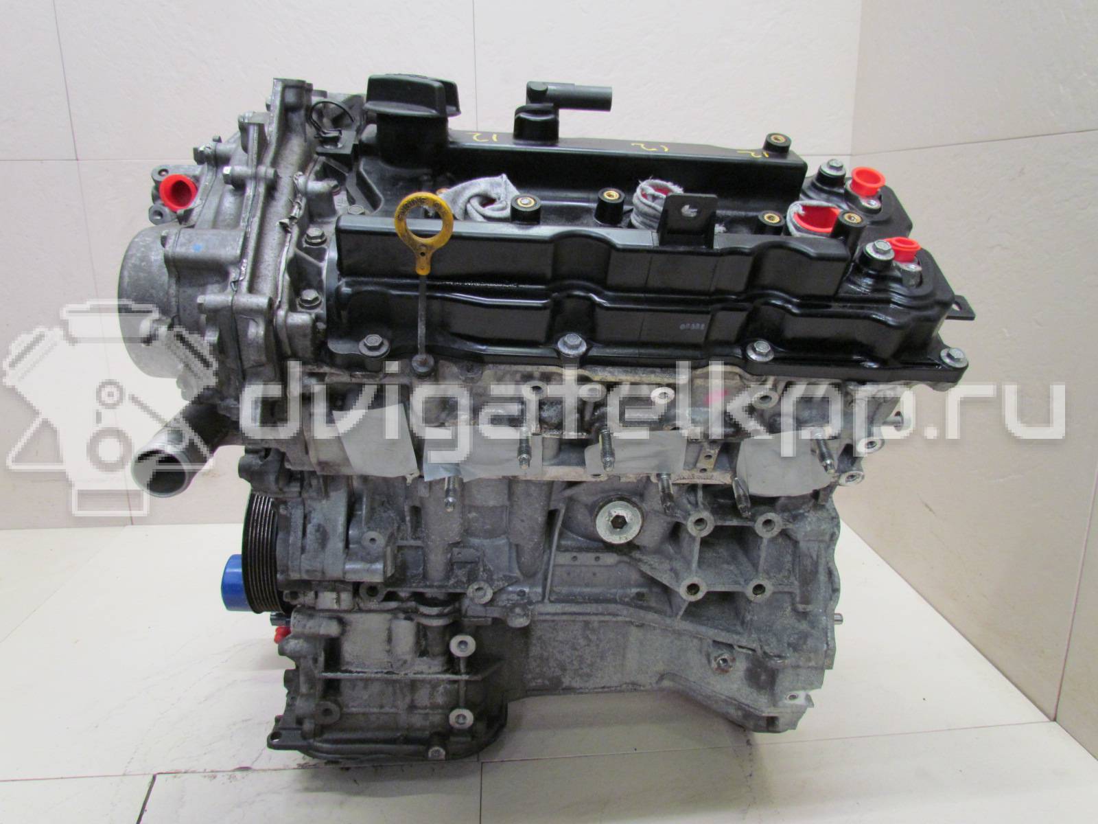 Фото Контрактный (б/у) двигатель VQ35DE для Infiniti / Mitsuoka / Isuzu / Nissan / Nissan (Dongfeng) 243-284 л.с 24V 3.5 л бензин 10102AM8M0 {forloop.counter}}