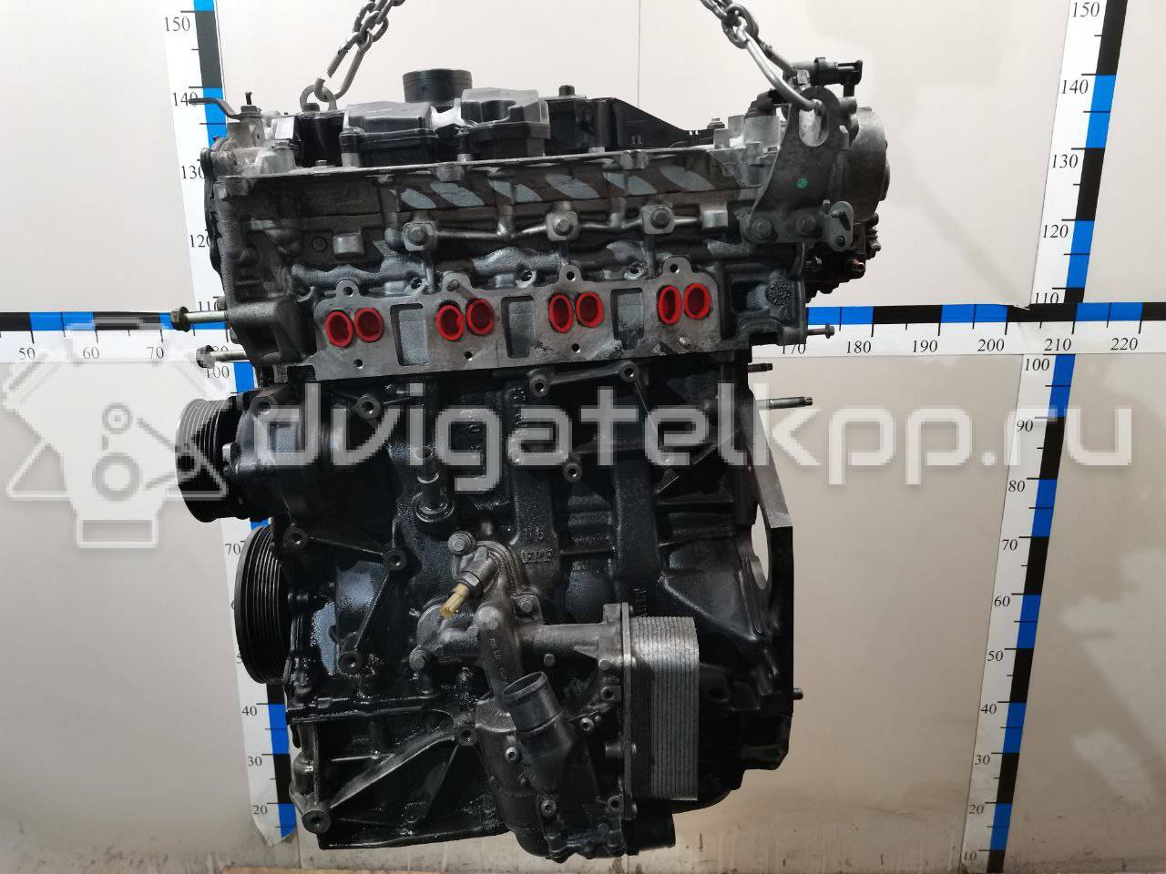 Фото Контрактный (б/у) двигатель M9R для Nissan Qashqai / X-Trail 150-177 л.с 16V 2.0 л Дизельное топливо 1010200Q1K {forloop.counter}}