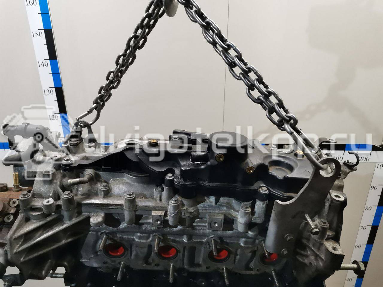 Фото Контрактный (б/у) двигатель M9R для Nissan Qashqai / X-Trail 150-177 л.с 16V 2.0 л Дизельное топливо 1010200Q1K {forloop.counter}}