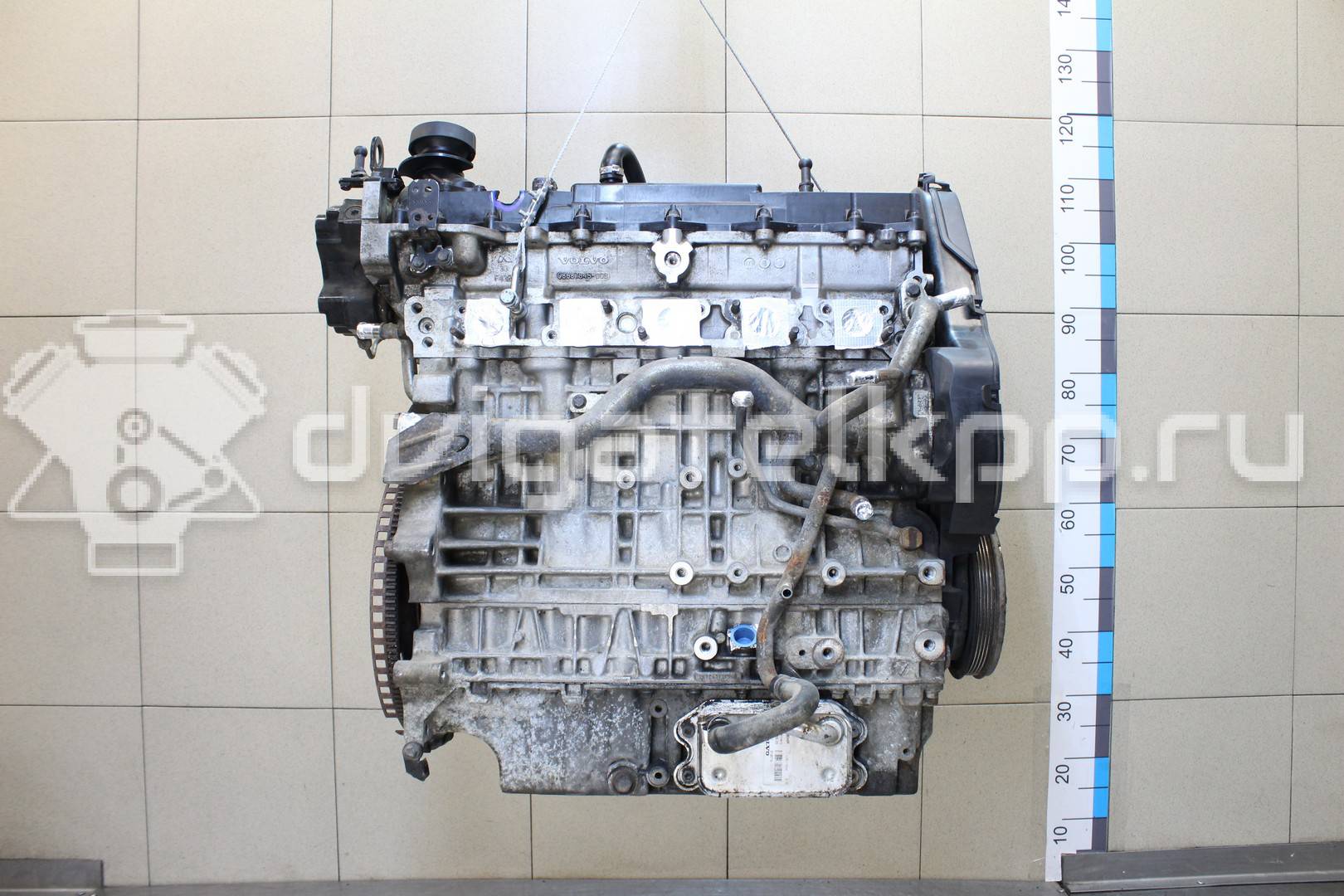 Фото Контрактный (б/у) двигатель D 5244 T4 для Volvo V70 / Xc60 / S60 / S80 / Xc70 185 л.с 20V 2.4 л Дизельное топливо 36050390 {forloop.counter}}