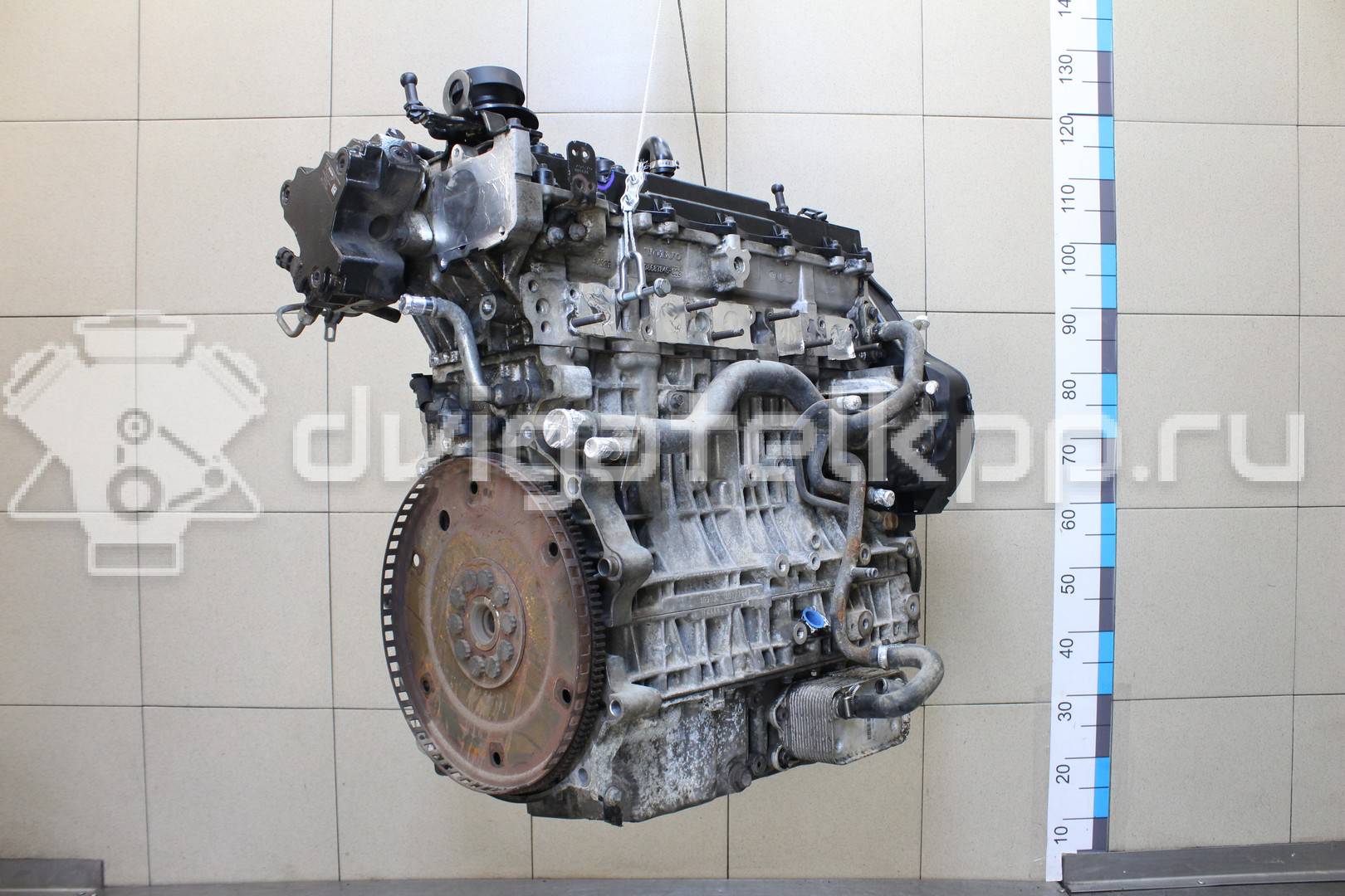 Фото Контрактный (б/у) двигатель D 5244 T4 для Volvo V70 / Xc60 / S60 / S80 / Xc70 185 л.с 20V 2.4 л Дизельное топливо 36050390 {forloop.counter}}