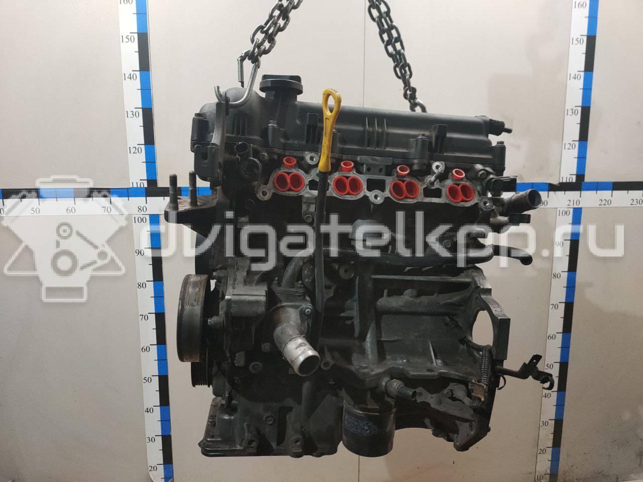 Фото Контрактный (б/у) двигатель G4FA для Hyundai (Beijing) / Hyundai / Kia 101-109 л.с 16V 1.4 л бензин 103B12BU00 {forloop.counter}}