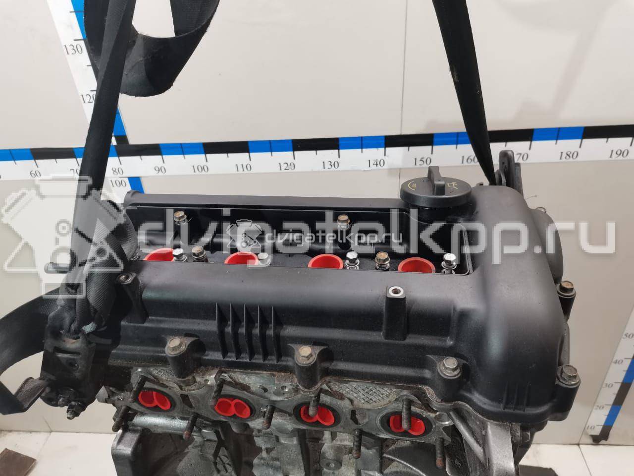 Фото Контрактный (б/у) двигатель G4FA для Hyundai (Beijing) / Hyundai / Kia 101-109 л.с 16V 1.4 л бензин Z56812BZ00 {forloop.counter}}