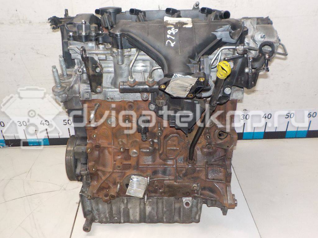 Фото Контрактный (б/у) двигатель AZBA для Ford / Ford Australia 131 л.с 16V 2.0 л Дизельное топливо 1343078 {forloop.counter}}