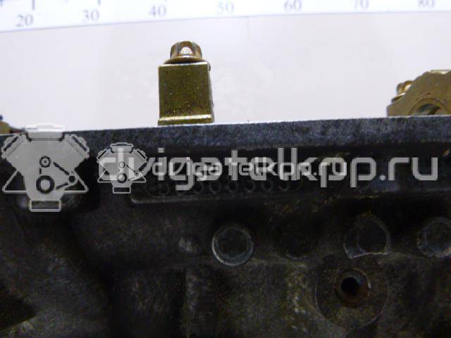 Фото Головка блока  55565451 для Vauxhall / Saturn / Chevrolet / Holden / Daewoo / Opel / Chevrolet (Sgm) {forloop.counter}}