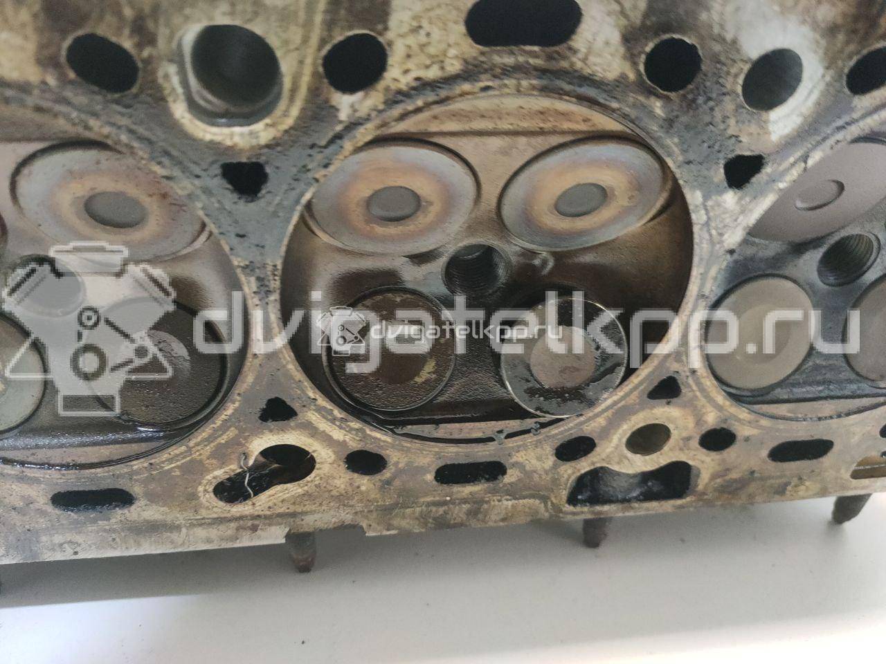 Фото Головка блока  55565451 для Vauxhall / Saturn / Chevrolet / Holden / Daewoo / Opel / Chevrolet (Sgm) {forloop.counter}}