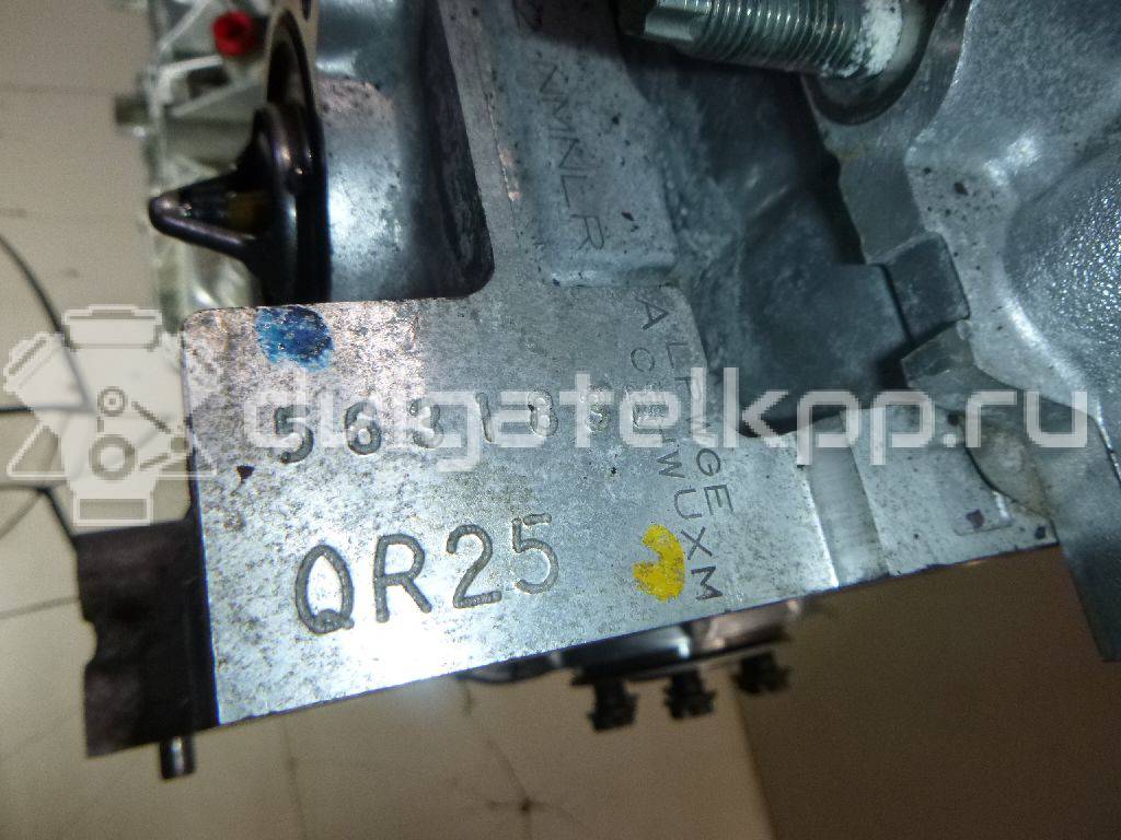 Фото Контрактный (б/у) двигатель QR25DE для Nissan (Dongfeng) / Suzuki / Mitsuoka / Nissan 141-182 л.с 16V 2.5 л бензин 101024BA0G {forloop.counter}}