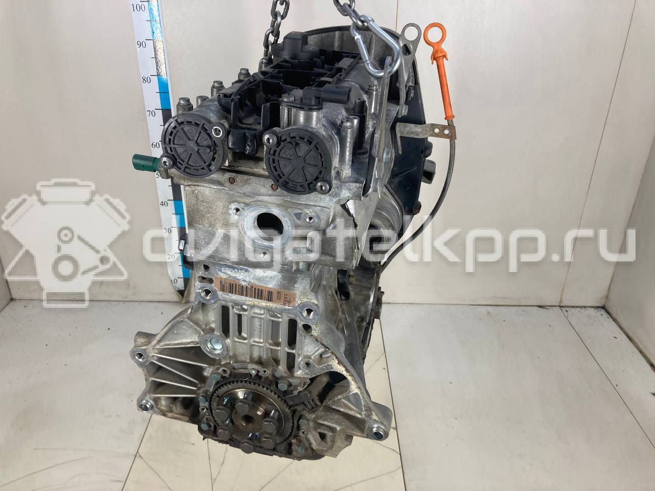 Фото Контрактный (б/у) двигатель BUD для Skoda / Volkswagen 80 л.с 16V 1.4 л бензин 036100038L {forloop.counter}}