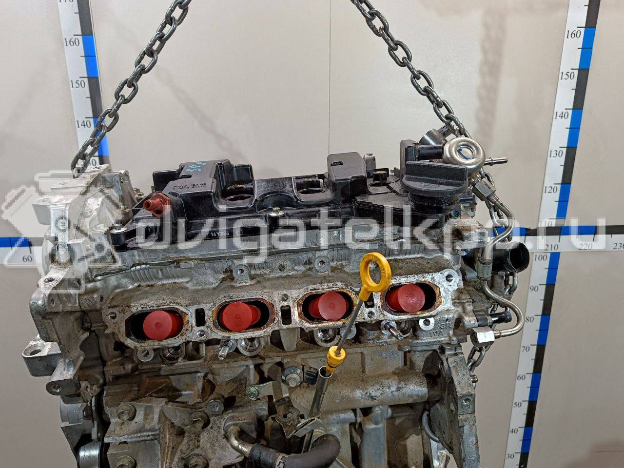 Фото Контрактный (б/у) двигатель MR20DD для Nissan (Dongfeng) / Nissan 140-150 л.с 16V 2.0 л Бензин/спирт 101024EF1A {forloop.counter}}