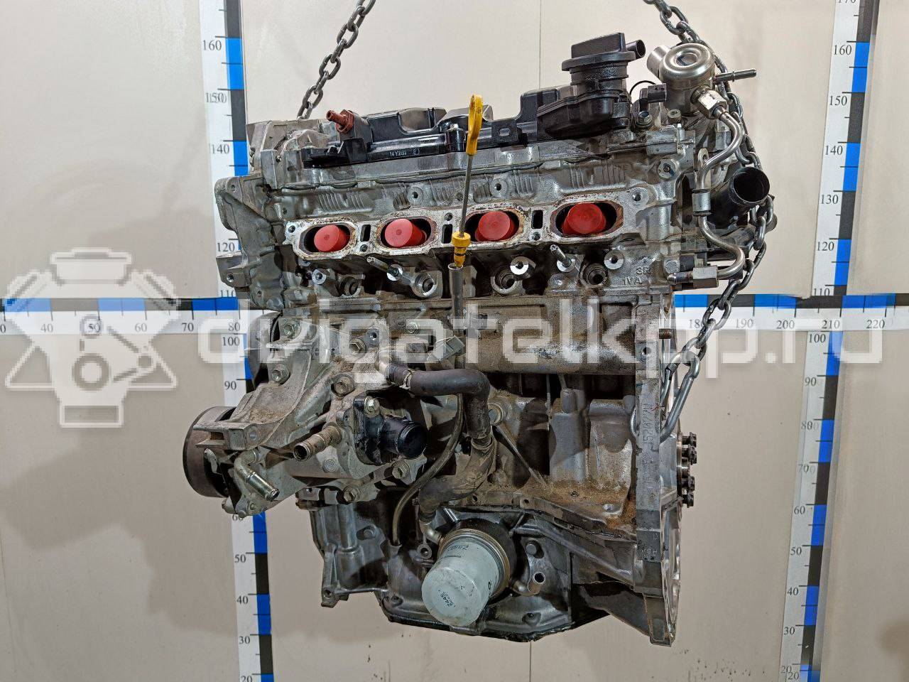 Фото Контрактный (б/у) двигатель MR20DD для Nissan (Dongfeng) / Nissan 150 л.с 16V 2.0 л бензин 101024EF1A {forloop.counter}}