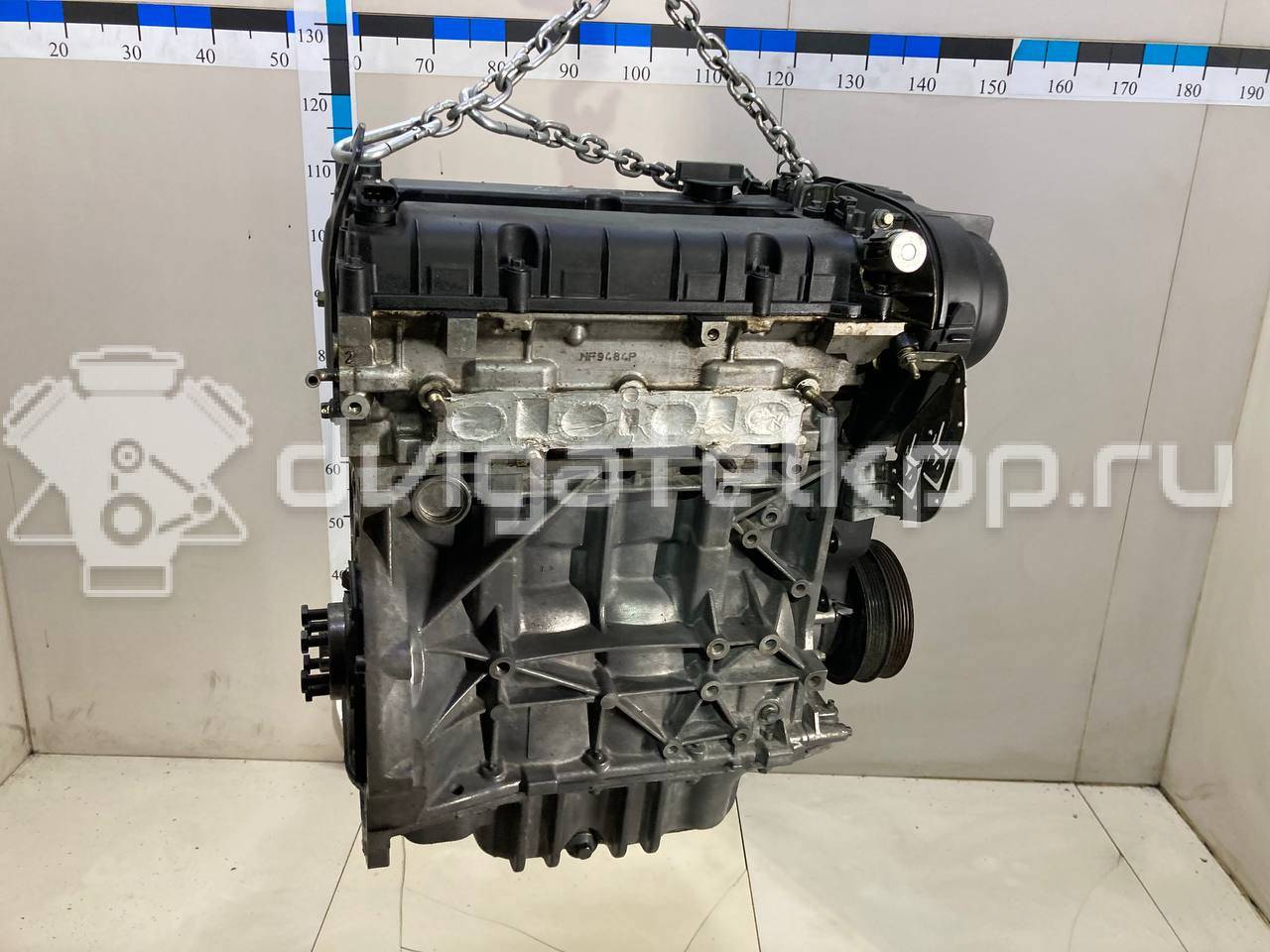 Фото Контрактный (б/у) двигатель CT для Volkswagen / Ford (Changan) 110 л.с 16V 1.5 л бензин 1727626 {forloop.counter}}