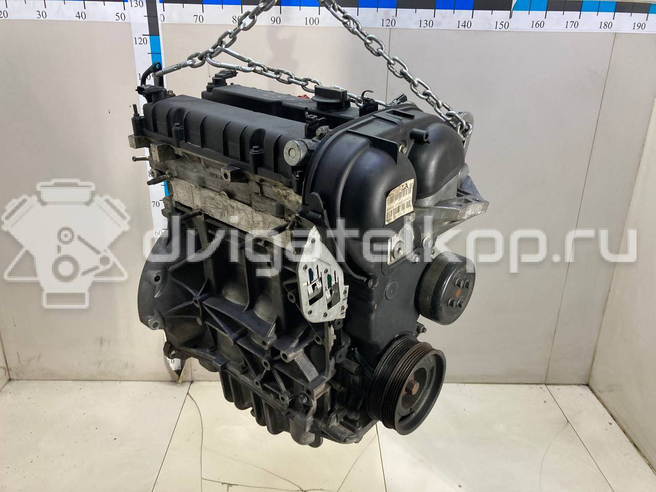 Фото Контрактный (б/у) двигатель CT для Volkswagen / Ford (Changan) 110 л.с 16V 1.5 л бензин 1727626 {forloop.counter}}