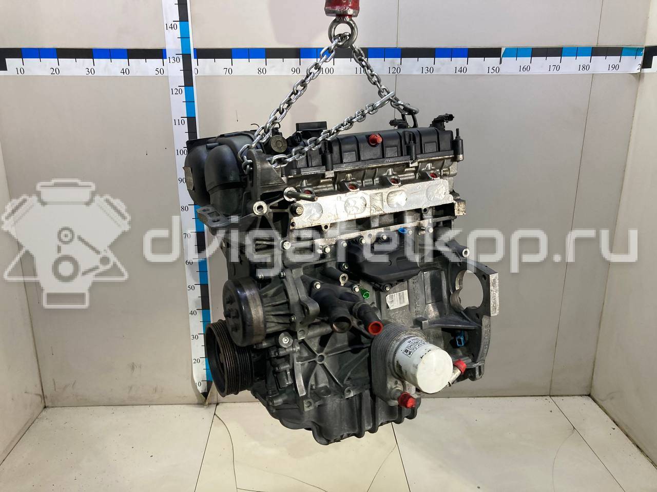 Фото Контрактный (б/у) двигатель PNDA для Ford Australia Focus 125 л.с 16V 1.6 л бензин 1727626 {forloop.counter}}