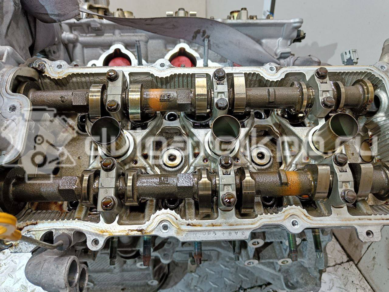 Фото Контрактный (б/у) двигатель VQ35DE для Infiniti / Mitsuoka / Isuzu / Nissan / Nissan (Dongfeng) 243-284 л.с 24V 3.5 л бензин 101029W2AF {forloop.counter}}