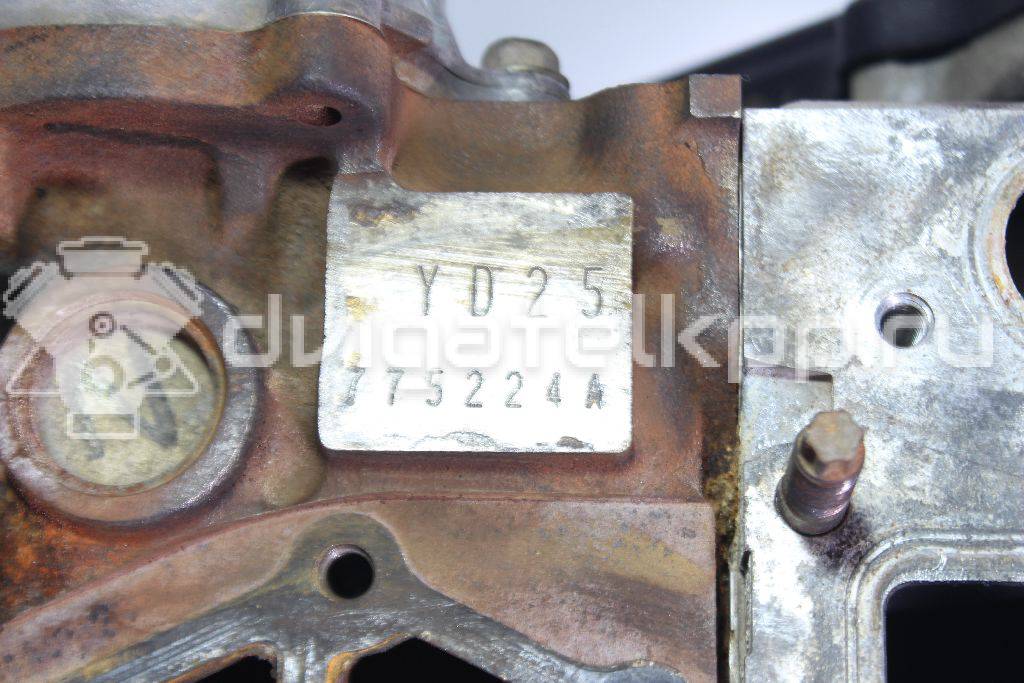 Фото Контрактный (б/у) двигатель YD25DDTi для Nissan Bassara / Nv350 E26 / Serena / Sani / Presage 100-190 л.с 16V 2.5 л Дизельное топливо 10102EB30A {forloop.counter}}