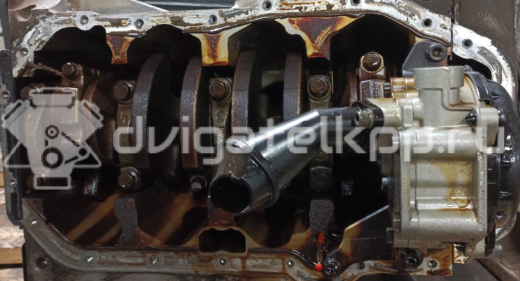 Фото Контрактный (б/у) двигатель CFNA для Volkswagen / Vw (Svw) 105 л.с 16V 1.6 л бензин 03C100092BX {forloop.counter}}