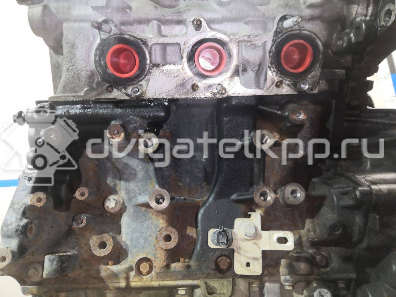 Фото Контрактный (б/у) двигатель V9X для Nissan Np300 / Pathfinder 231-238 л.с 24V 3.0 л Дизельное топливо 1010200Q3R {forloop.counter}}