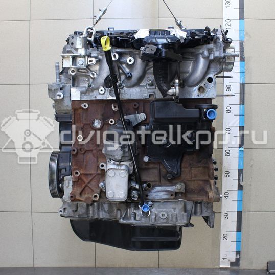 Фото Контрактный (б/у) двигатель TXBB для Ford / Ford Australia 163 л.с 16V 2.0 л Дизельное топливо 1838469