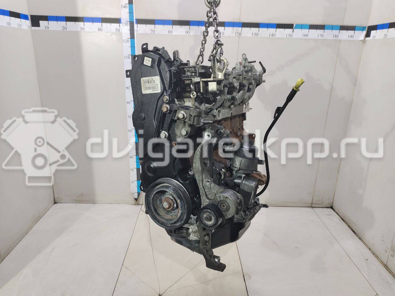 Фото Контрактный (б/у) двигатель TXBA для Ford Australia Mondeo 163 л.с 16V 2.0 л Дизельное топливо 1838469 {forloop.counter}}