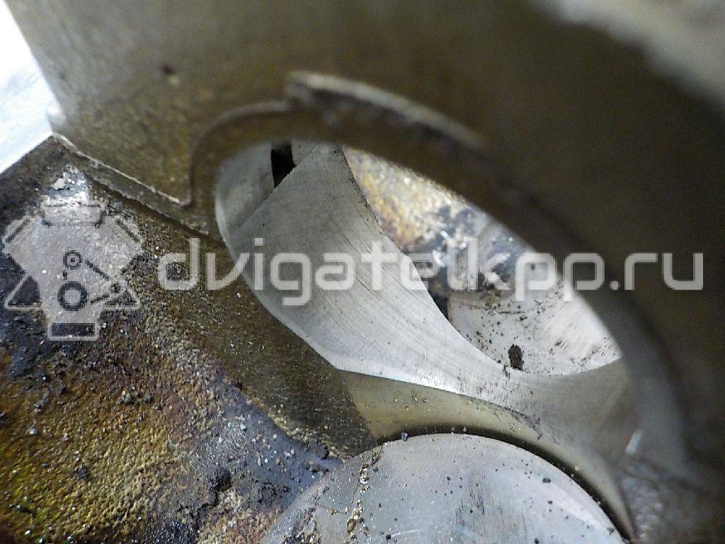 Фото Головка блока  55565451 для Vauxhall / Saturn / Chevrolet / Holden / Daewoo / Opel / Chevrolet (Sgm) {forloop.counter}}