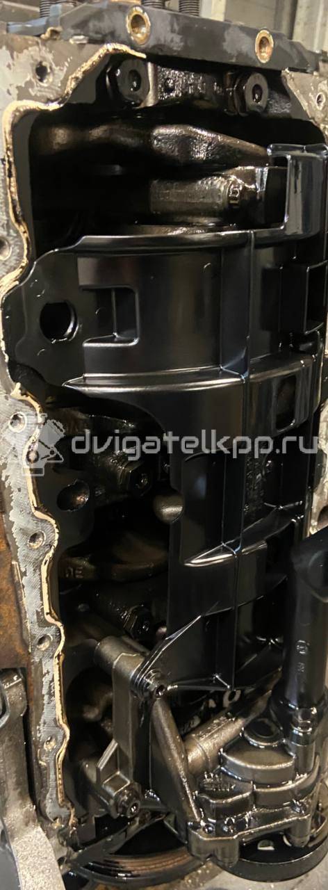 Фото Контрактный (б/у) двигатель CFHC для Volkswagen / Seat 140 л.с 16V 2.0 л Дизельное топливо 03L100091B {forloop.counter}}