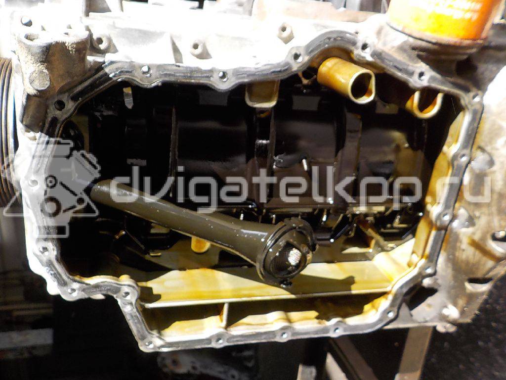 Фото Контрактный (б/у) двигатель CWVA для Volkswagen / Skoda / Seat 110 л.с 16V 1.6 л бензин 04E100037C {forloop.counter}}