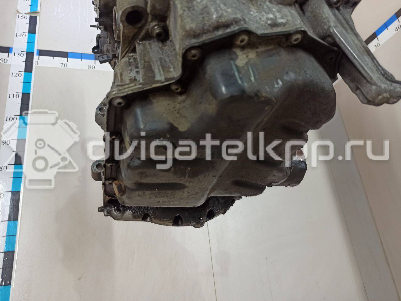 Фото Контрактный (б/у) двигатель CWVA для Skoda / Volkswagen / Seat 110 л.с 16V 1.6 л бензин 04E100038D {forloop.counter}}