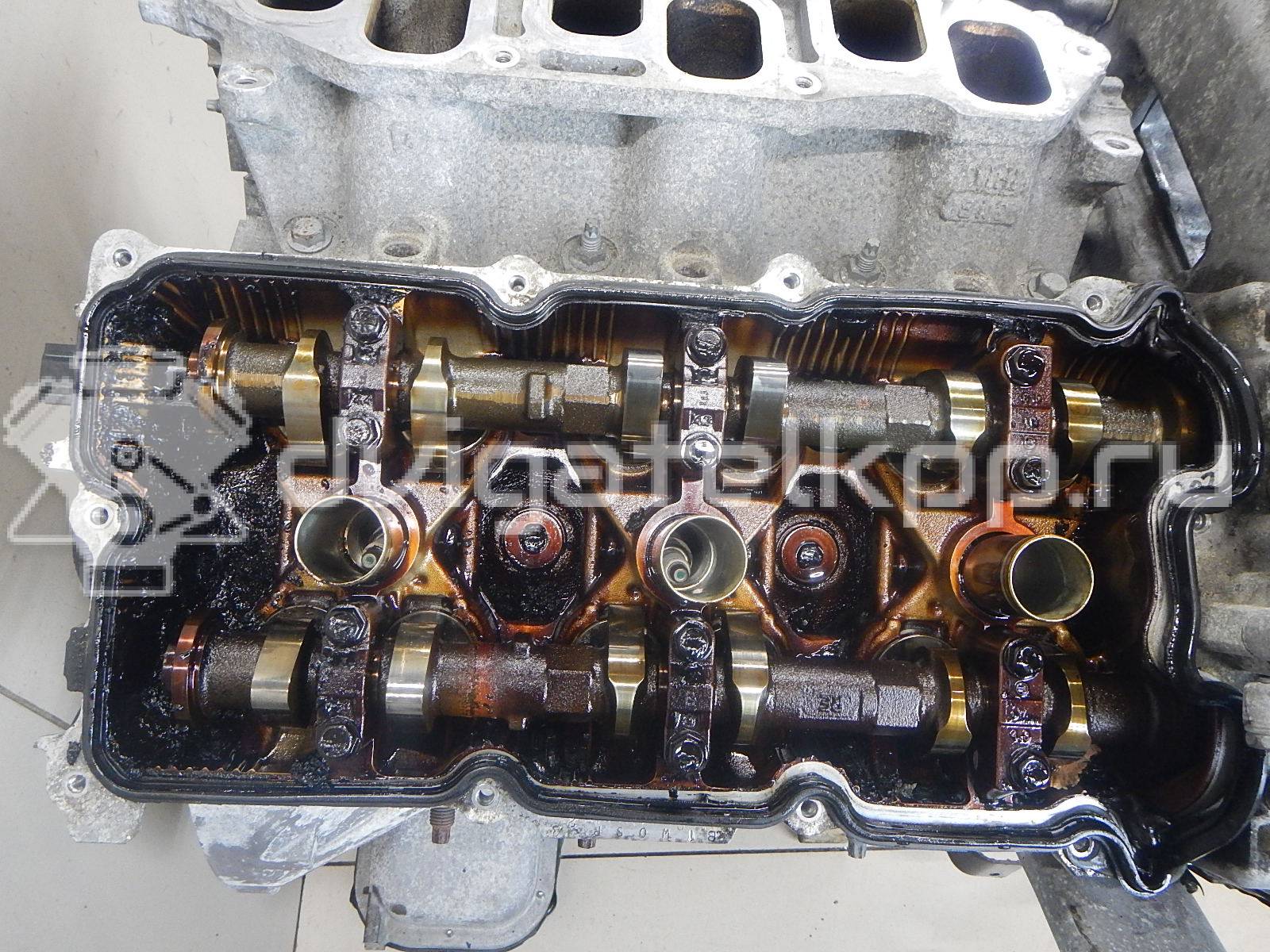 Фото Контрактный (б/у) двигатель VQ40 для Nissan Np300 261-269 л.с 24V 4.0 л бензин 10102EA200 {forloop.counter}}