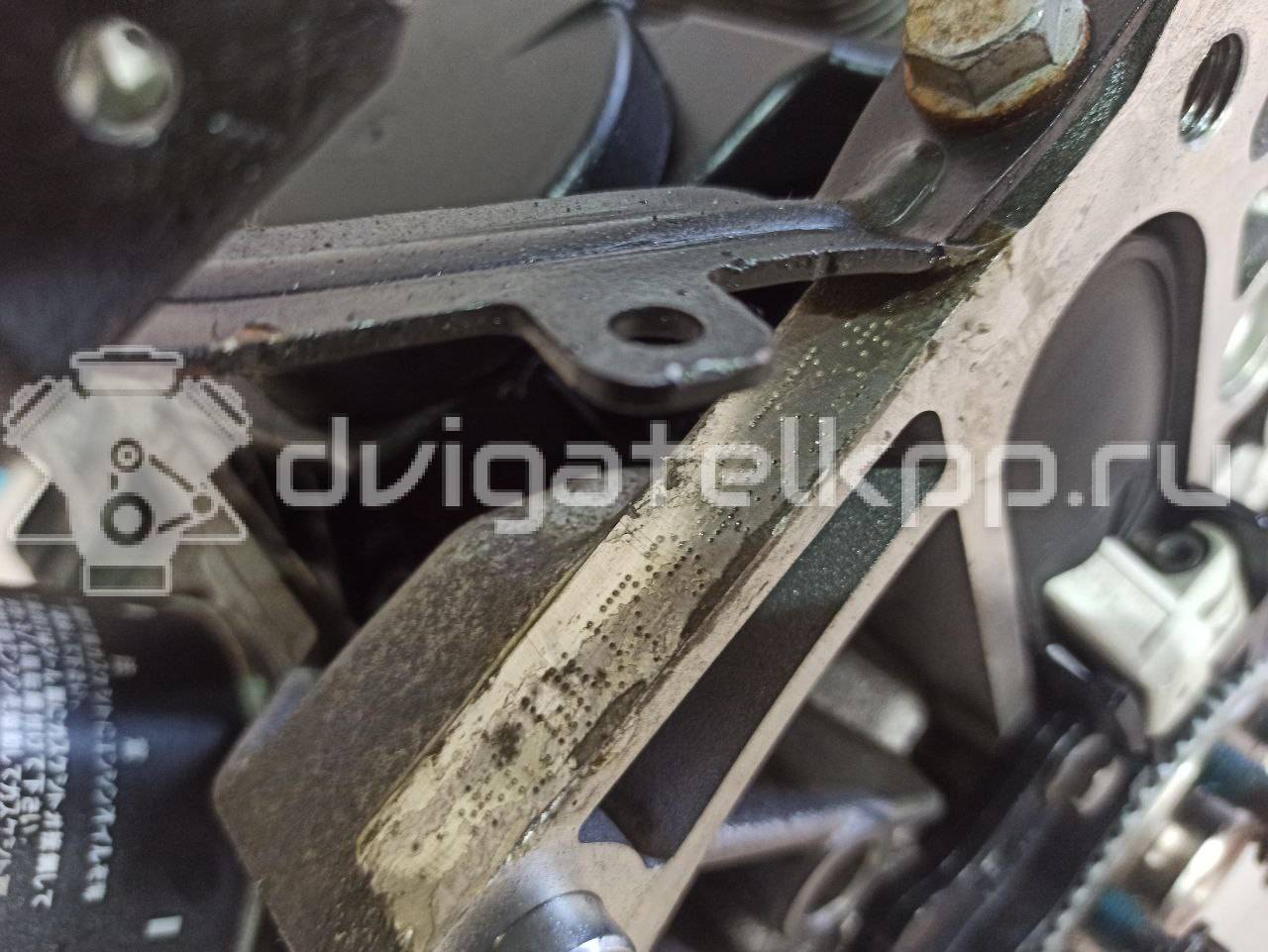 Фото Контрактный (б/у) двигатель AM для Volkswagen 181 48 л.с 8V 1.6 л бензин 04E100038D {forloop.counter}}