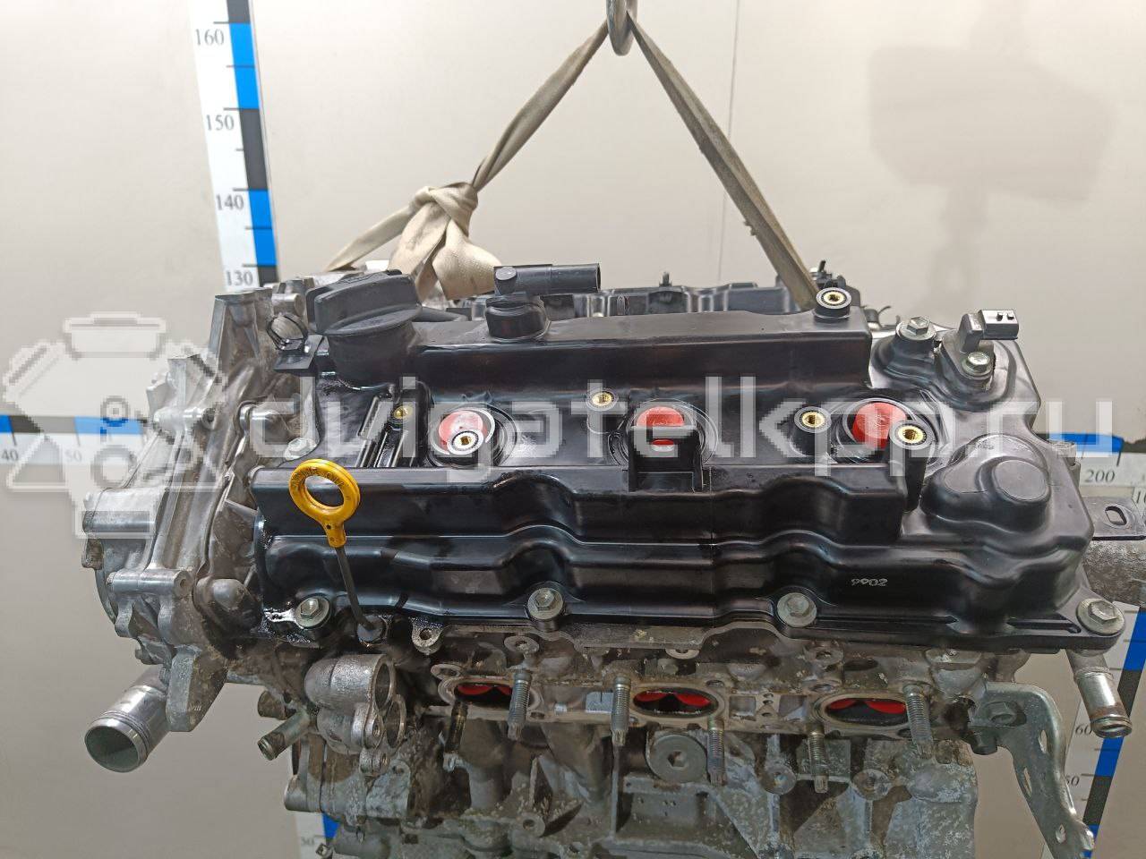 Фото Контрактный (б/у) двигатель VQ25DE для Mitsuoka / Samsung / Nissan / Nissan (Dongfeng) 182-209 л.с 24V 2.5 л бензин 10102JN0A1 {forloop.counter}}