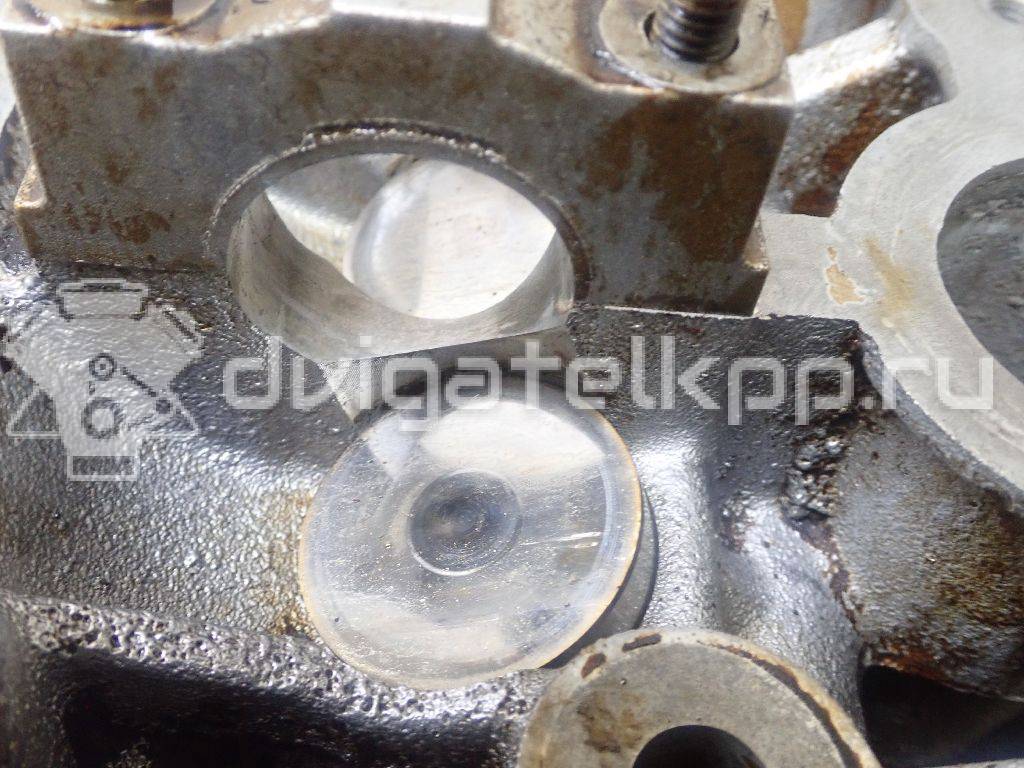 Фото Головка блока  55565451 для Vauxhall / Saturn / Chevrolet / Holden / Daewoo / Opel / Chevrolet (Sgm) {forloop.counter}}