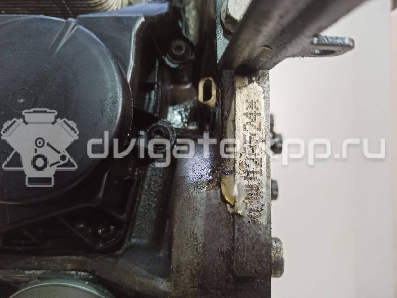 Фото Контрактный (б/у) двигатель CWVA для Volkswagen / Skoda / Seat 110 л.с 16V 1.6 л бензин 04E100033P {forloop.counter}}