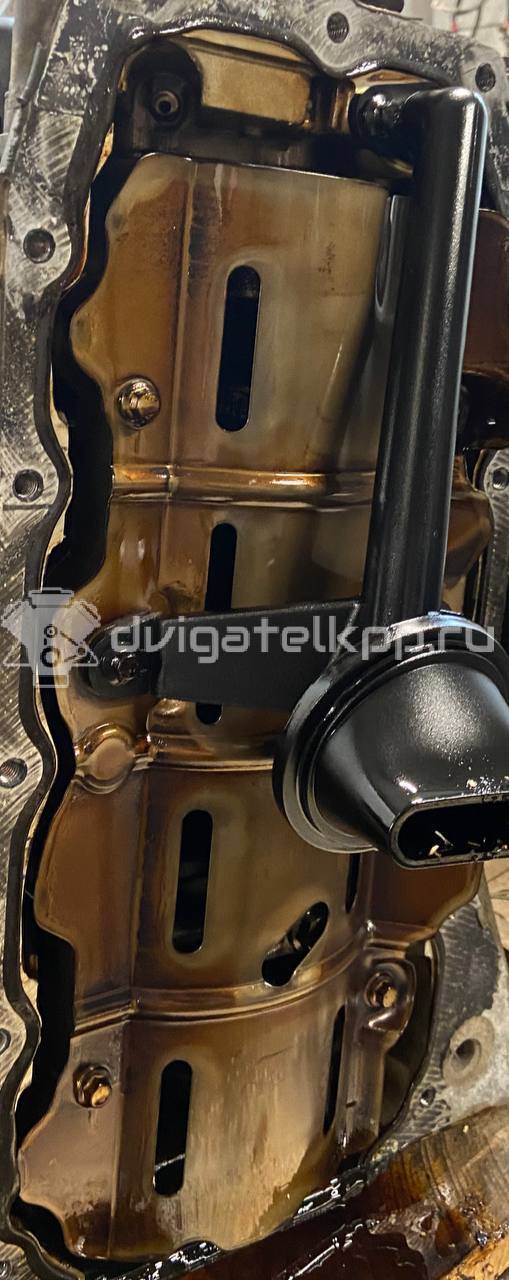 Фото Контрактный (б/у) двигатель CT для Volkswagen / Ford (Changan) 110 л.с 16V 1.5 л бензин 1685722 {forloop.counter}}