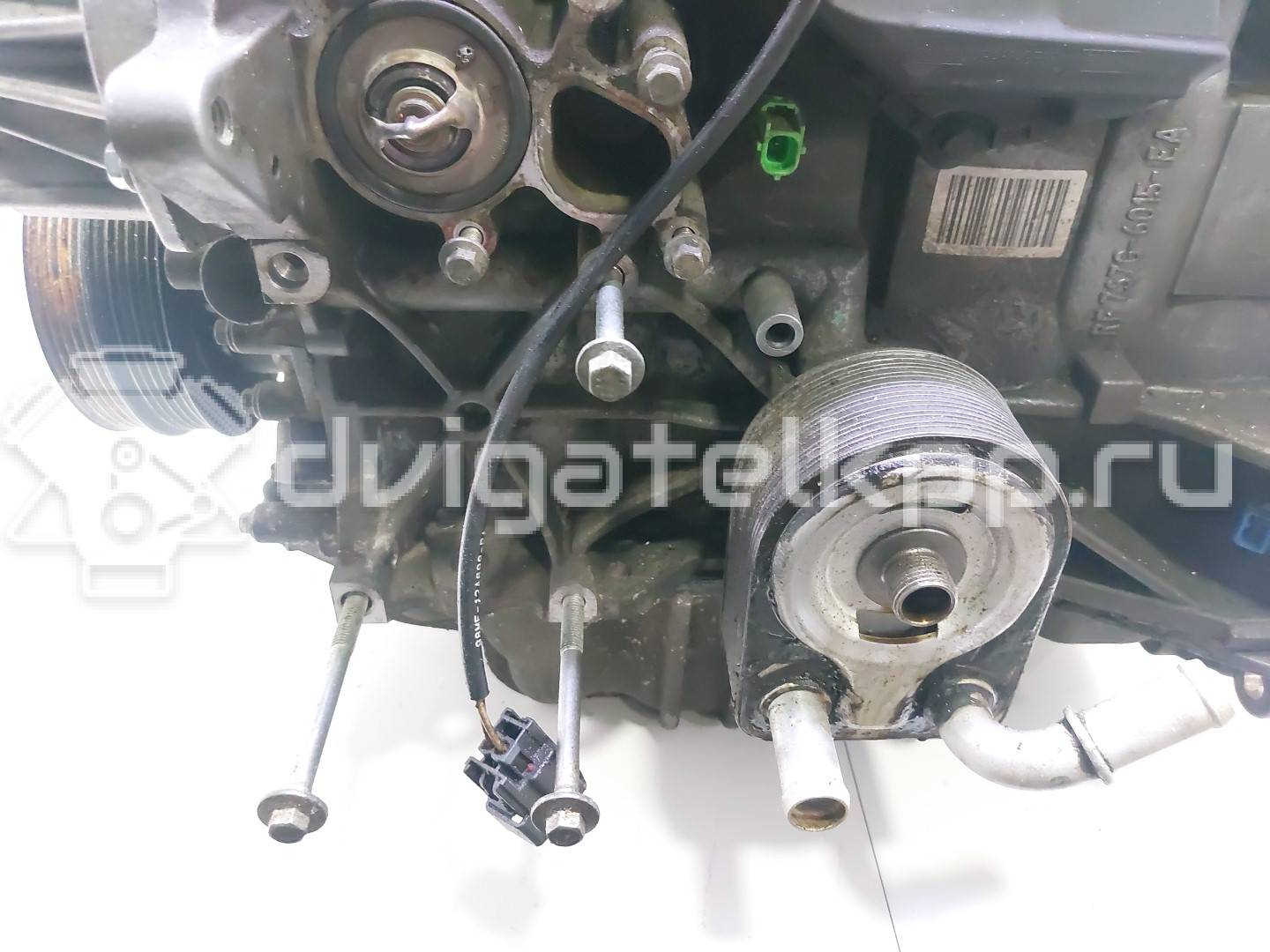 Фото Контрактный (б/у) двигатель CT для Volkswagen / Ford (Changan) 110 л.с 16V 1.5 л бензин 1685722 {forloop.counter}}