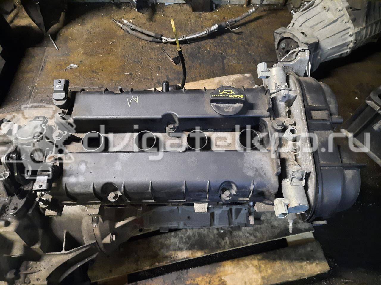 Фото Контрактный (б/у) двигатель CT для Volkswagen / Ford (Changan) 110 л.с 16V 1.5 л бензин 1727626 {forloop.counter}}