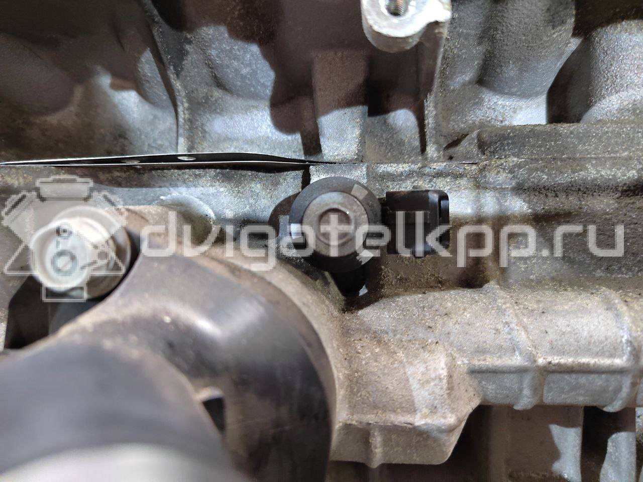 Фото Контрактный (б/у) двигатель HR16DE для Venucia / Dongfeng (Dfac) / Nissan (Zhengzhou) / Samsung / Mazda / Nissan / Mitsubishi / Nissan (Dongfeng) 117-124 л.с 16V 1.6 л бензин 101021KA0F {forloop.counter}}