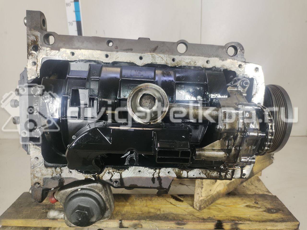 Фото Контрактный (б/у) двигатель BXE для Volkswagen Passat / Touran / Jetta / Golf 105 л.с 8V 1.9 л Дизельное топливо 03G100098MX {forloop.counter}}