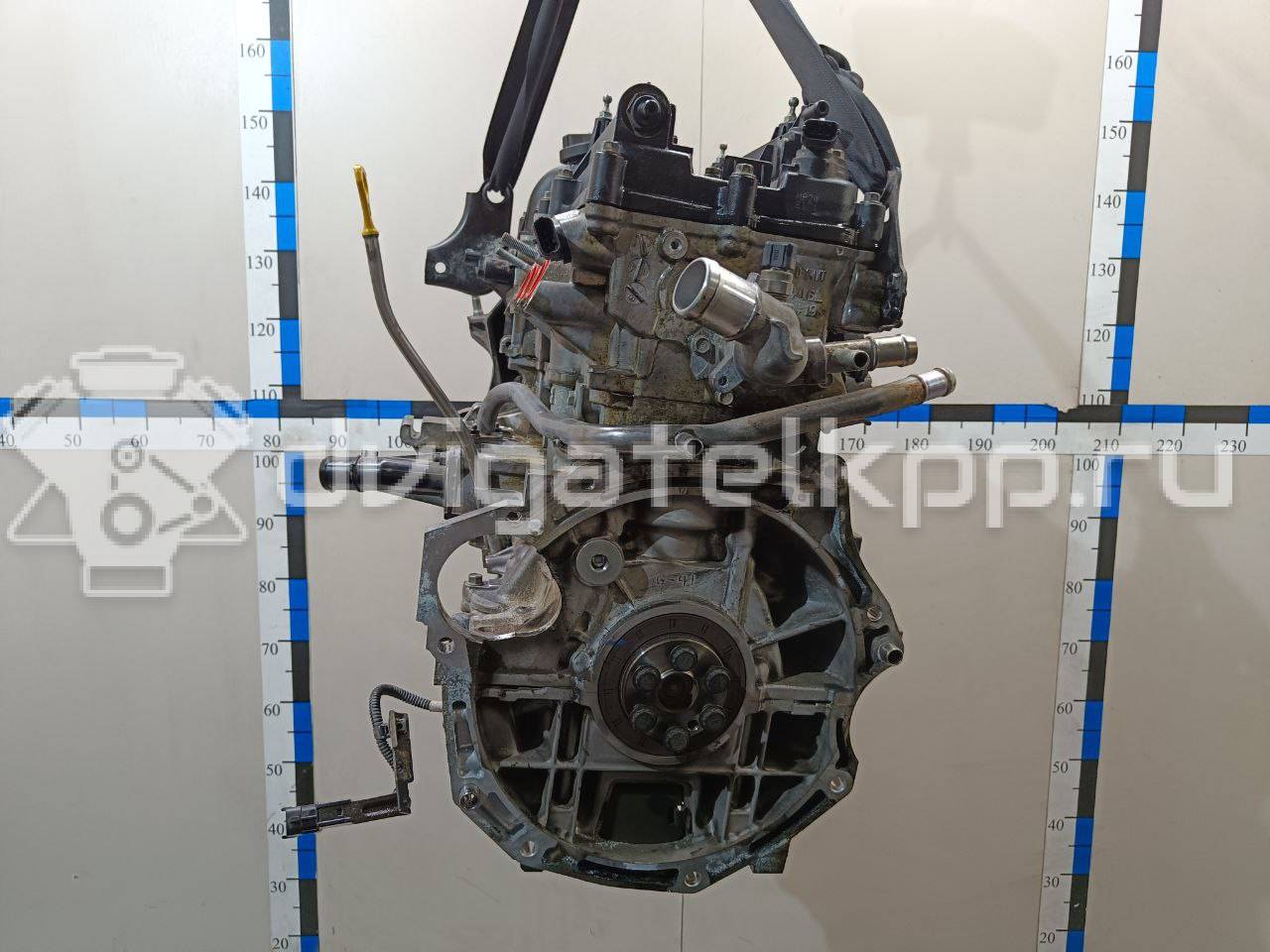 Фото Контрактный (б/у) двигатель G4FG для Hyundai / Kia 120-132 л.с 16V 1.6 л бензин WG1112BW00 {forloop.counter}}