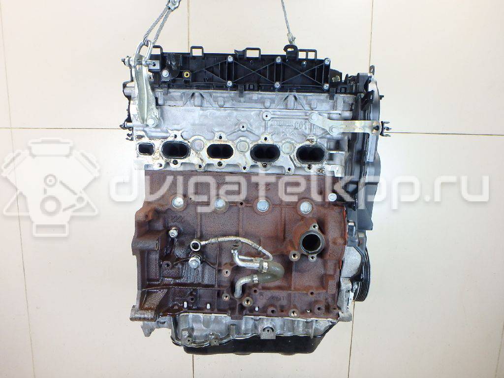 Фото Контрактный (б/у) двигатель TXBB для Ford / Ford Australia 163 л.с 16V 2.0 л Дизельное топливо 1838469 {forloop.counter}}