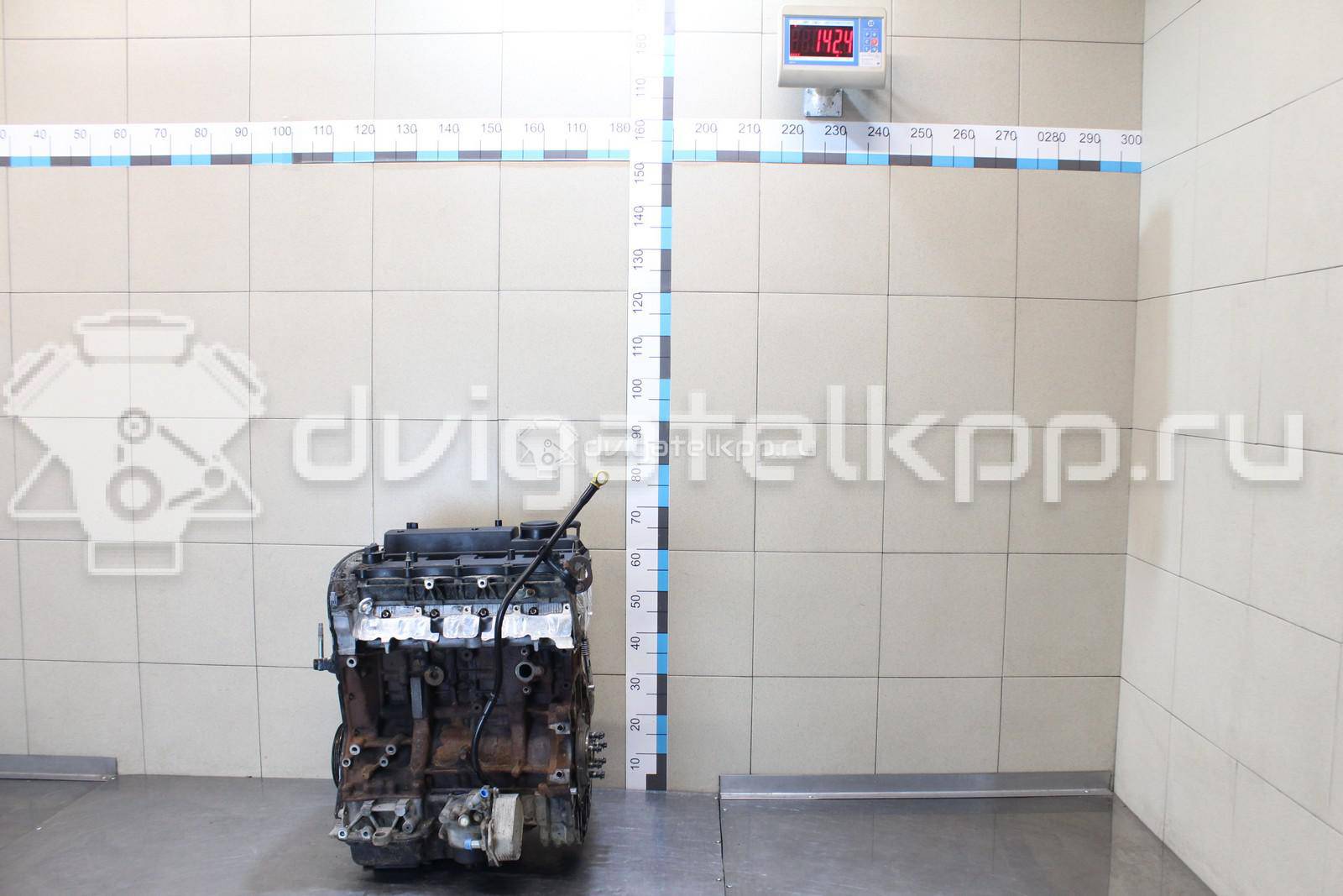 Фото Контрактный (б/у) двигатель  для ford Transit  V   1782109 {forloop.counter}}