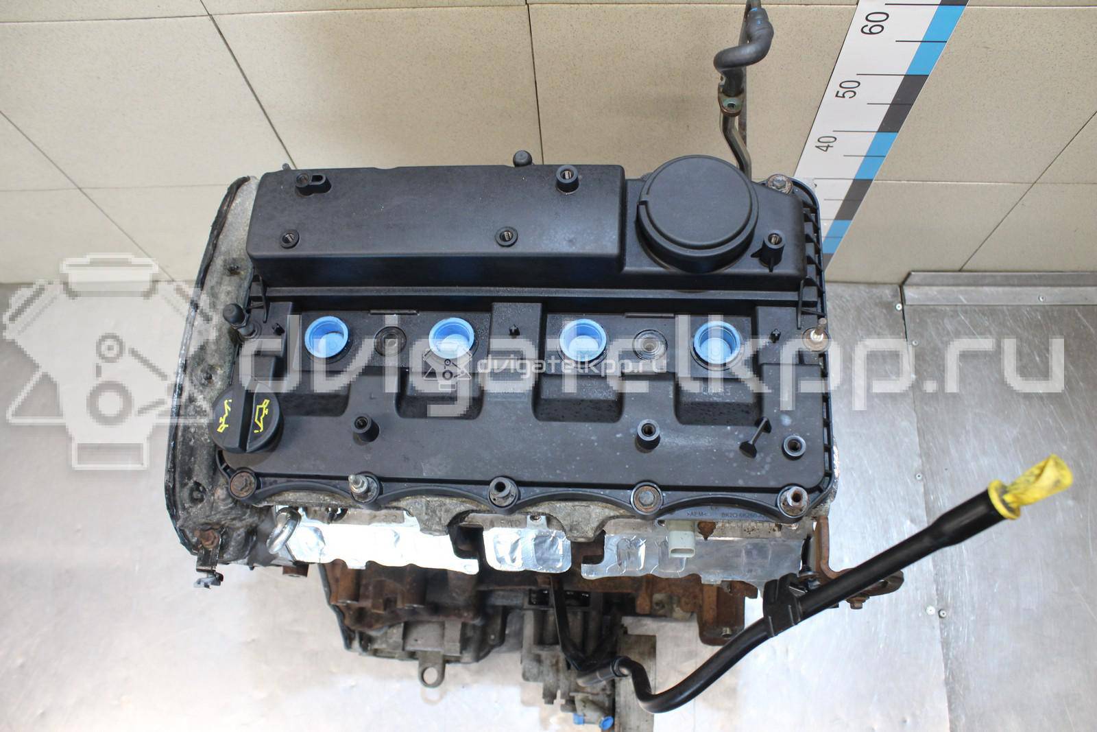 Фото Контрактный (б/у) двигатель  для ford Transit  V   1782109 {forloop.counter}}