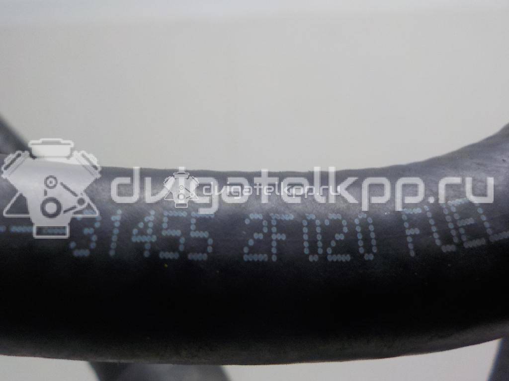 Фото Трубка топливная  314502F005 для Hyundai / Kia {forloop.counter}}