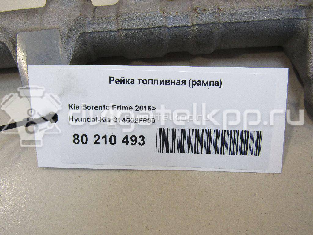 Фото Рейка топливная (рампа)  314002f600 для Hyundai / Kia {forloop.counter}}