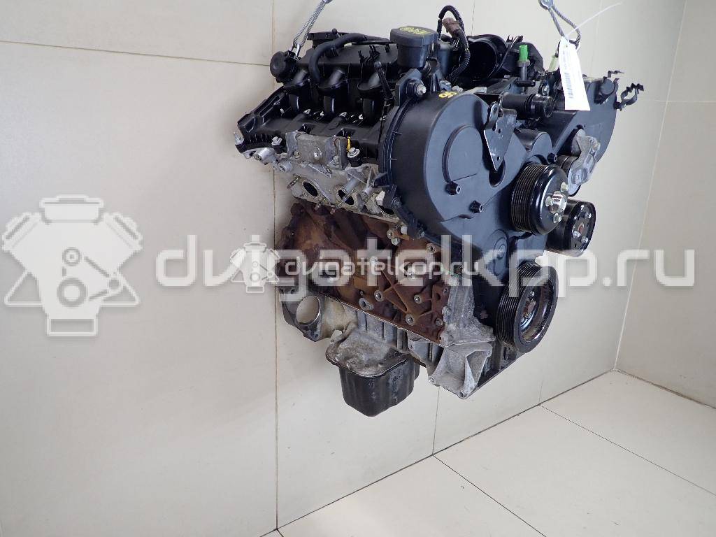 Фото Контрактный (б/у) двигатель 276DT для Ford Australia / Land Rover 190 л.с 24V 2.7 л Дизельное топливо LBB500390 {forloop.counter}}