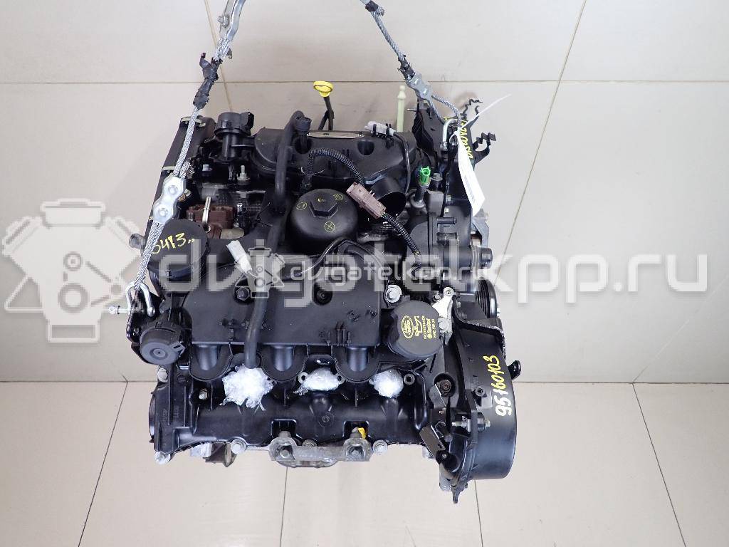 Фото Контрактный (б/у) двигатель 276DT для Ford Australia / Land Rover 190 л.с 24V 2.7 л Дизельное топливо LBB500390 {forloop.counter}}