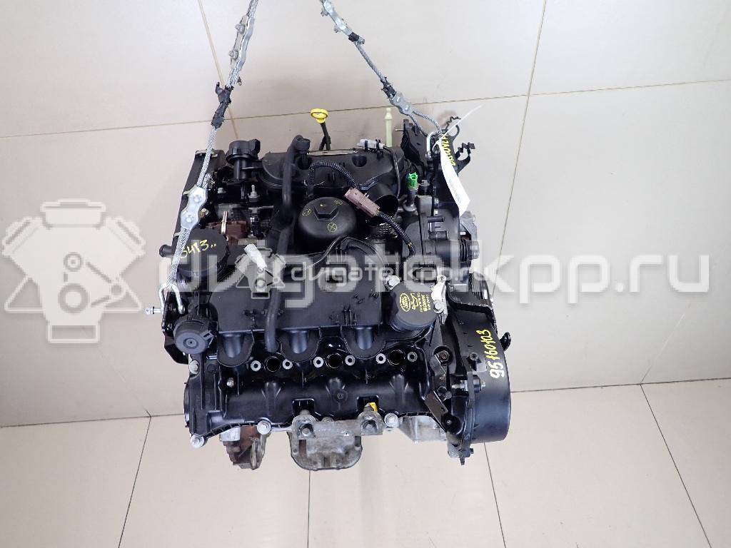 Фото Контрактный (б/у) двигатель 276DT для Ford Australia / Land Rover 190 л.с 24V 2.7 л Дизельное топливо LBB500390 {forloop.counter}}