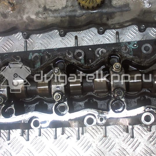 Фото Головка блока  504012567 для Citroen / Iveco / Fiat