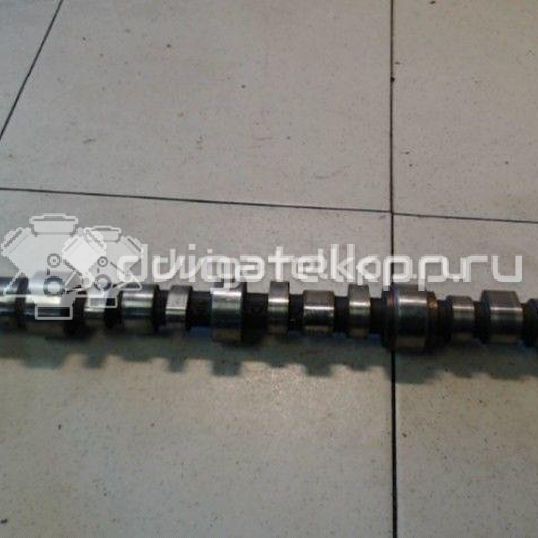 Фото Распредвал для двигателя 6G74 (DOHC 24V) для Mitsubishi Proudia Dignity S4 A, S3 A / Pajero / Debonair A 184-260 л.с 24V 3.5 л бензин