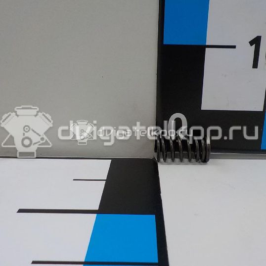 Фото Пружина клапана впускного  13211ck80a для Venucia / Suzuki / Samsung / Nissan / Nissan (Dongfeng)