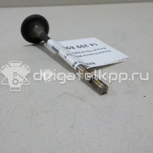 Фото Клапан выпускной  7701473354 для nissan Almera (G15)